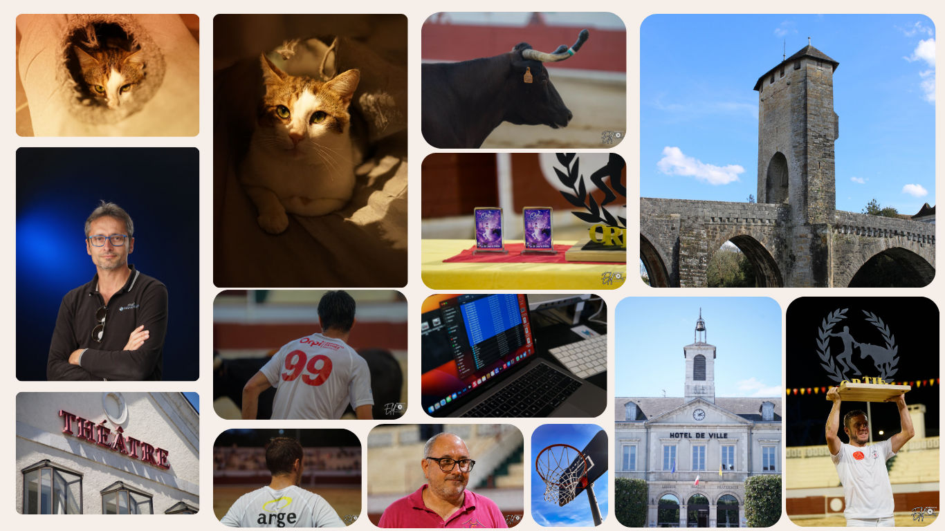 ELD Photographies collage